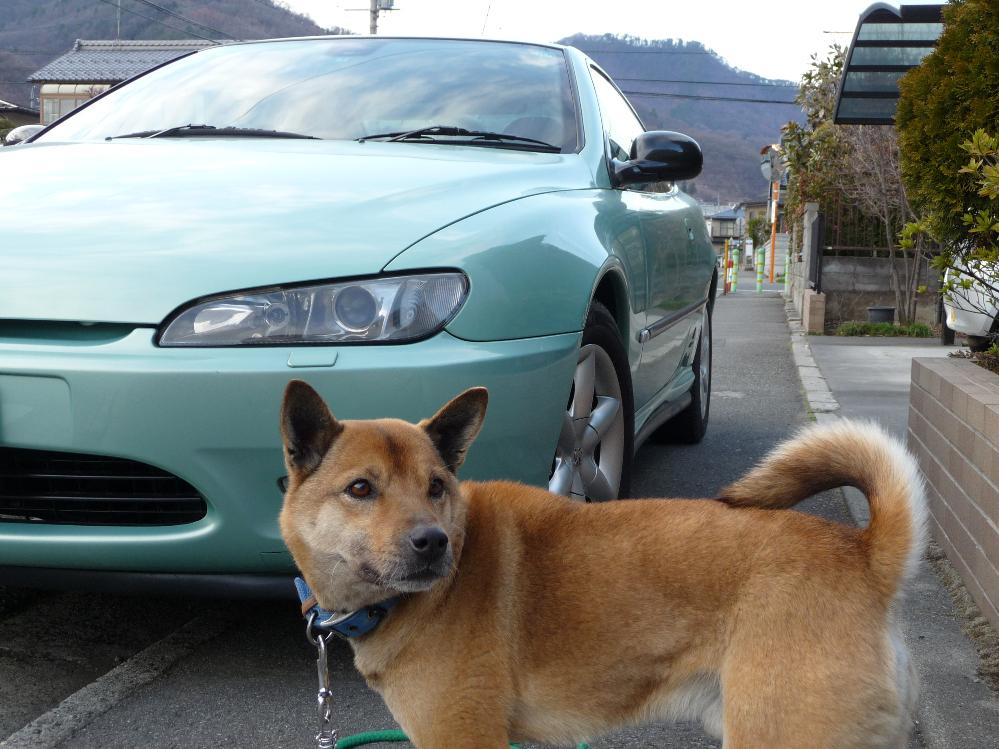 プロフィール3に写真を追加してください。