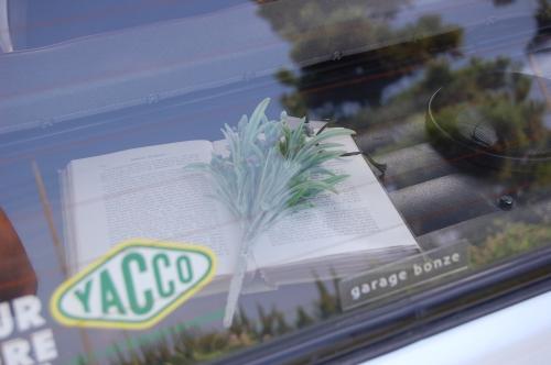 2010091950.jpg