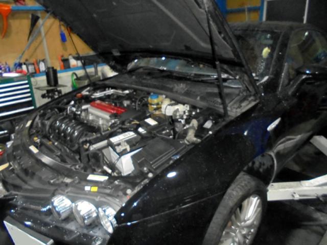 0205737_20190302155351_822_P_Pit_Blog_02.jpg