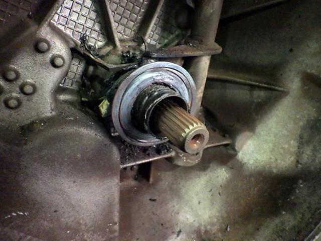 0205737_20220716191001_172_P_Pit_Blog_00.jpg