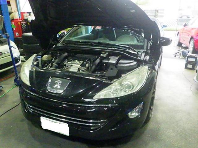 0205737_20221029170412_590_P_Pit_Blog_00.jpg