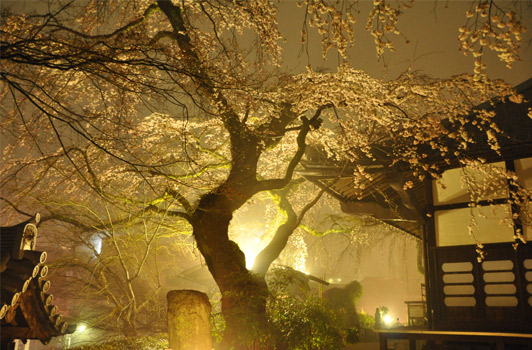 20090412052522.jpg