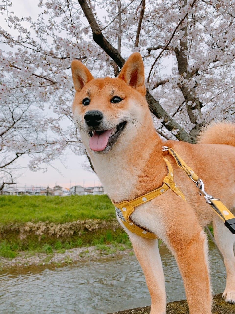 画像20210313１.jpg