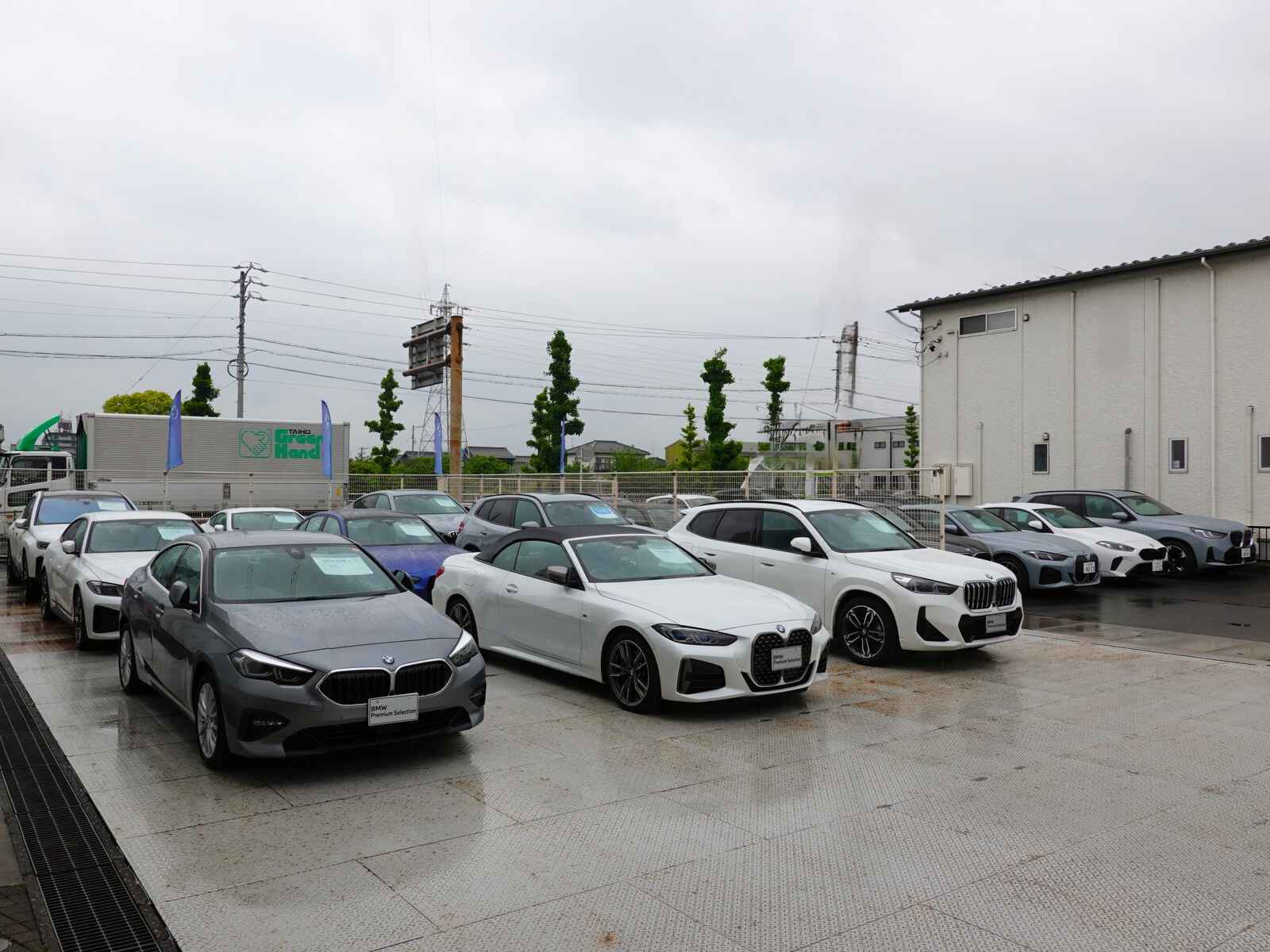 DSC09555-3.jpg