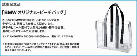 present_imgbeachbag4-thumb-471x192-88434.jpg