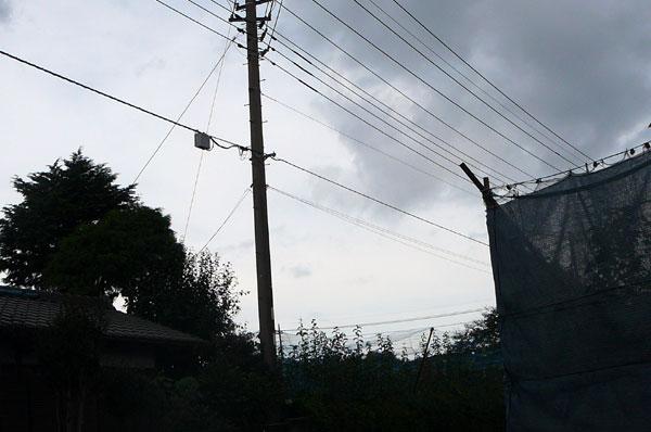 P1020544.jpg