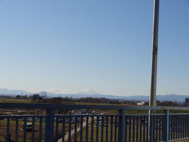 DSC00496.jpg