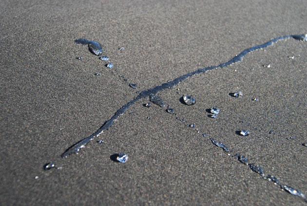 DSC_5886.jpg