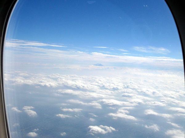P1020579.jpg