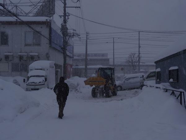DSC01837.jpg