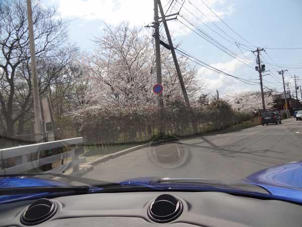 DSC01989.jpg