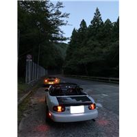 IMG_2658.jpg