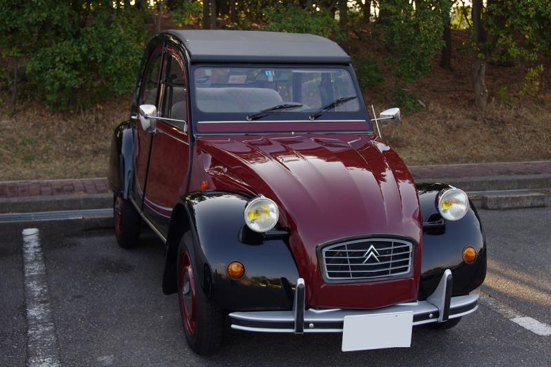 maiko160221.jpg