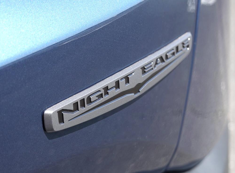 BV_nighte_nighteagle_badge.jpg