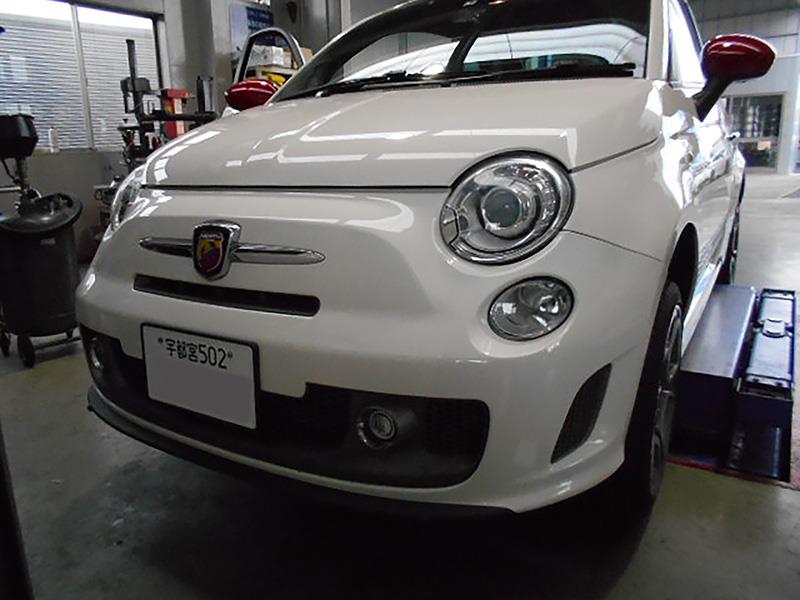 9919.jpg