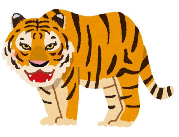 tigre-579x443.jpeg
