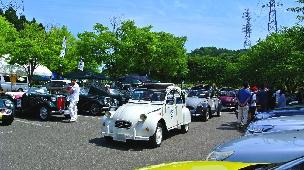6959.jpg