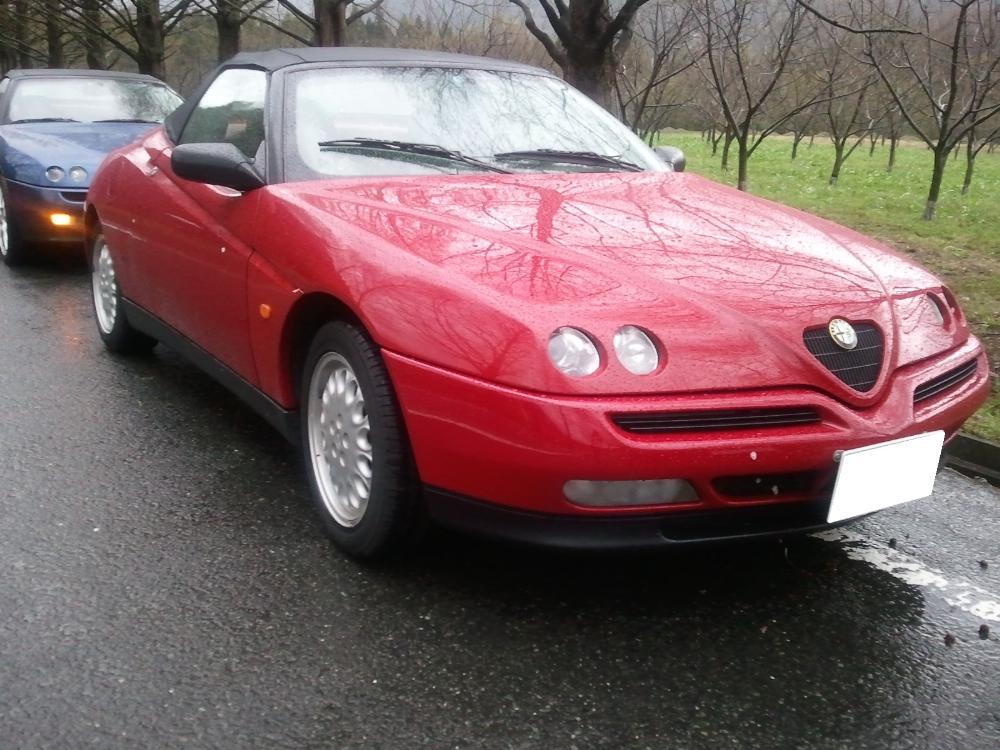 0422spider.jpg