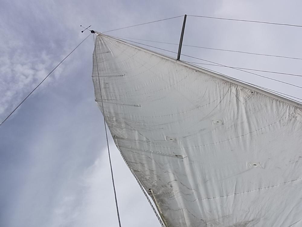 08084.jpg