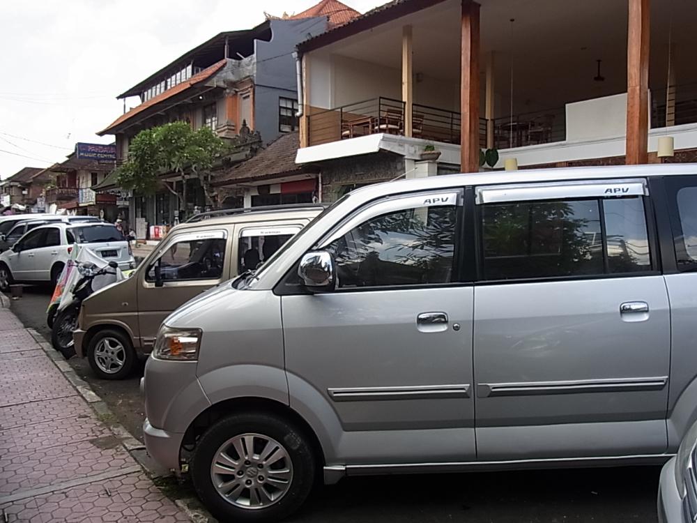 APV1.jpg