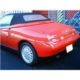1205spider②.jpg
