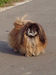 プロフィール2に写真を追加してください。