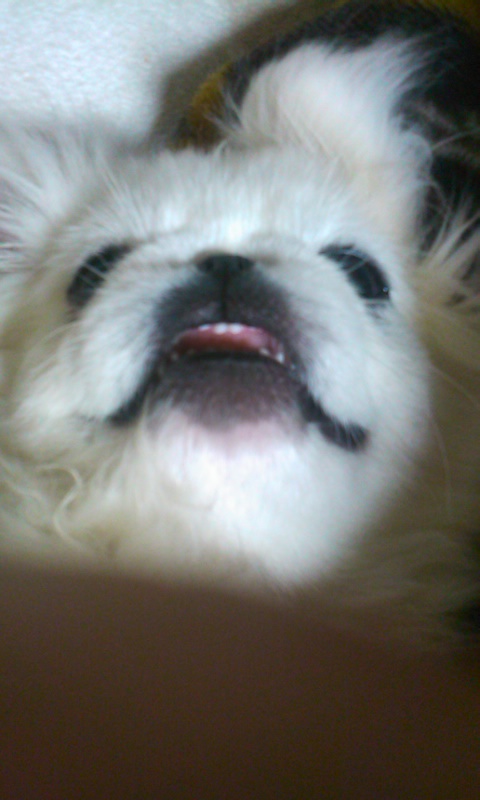 プロフィール3に写真を追加してください。